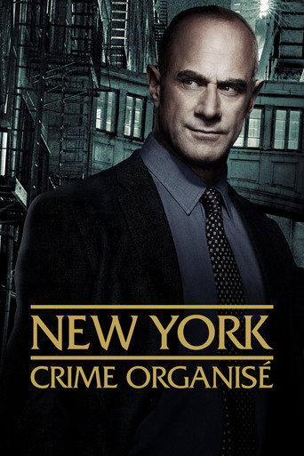 Regarder New York, crime organisé en streaming complet