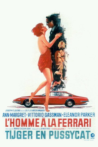 Regarder L'Homme à la Ferrari en streaming complet